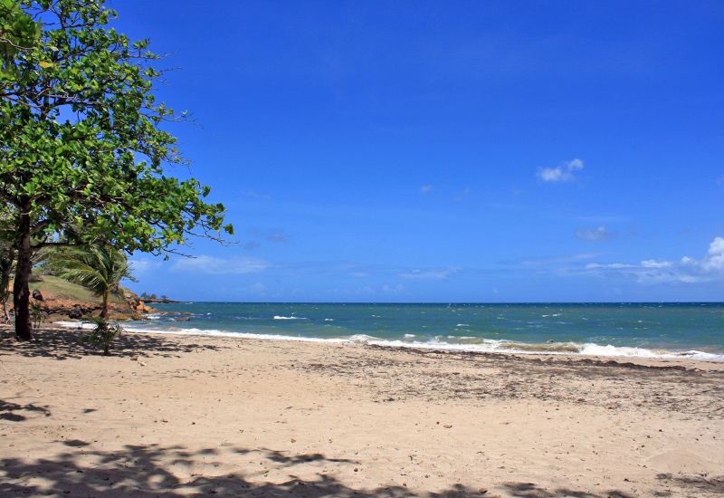 Sainte-Rose, Plage de Mambia, une belle petite plage de sable blond